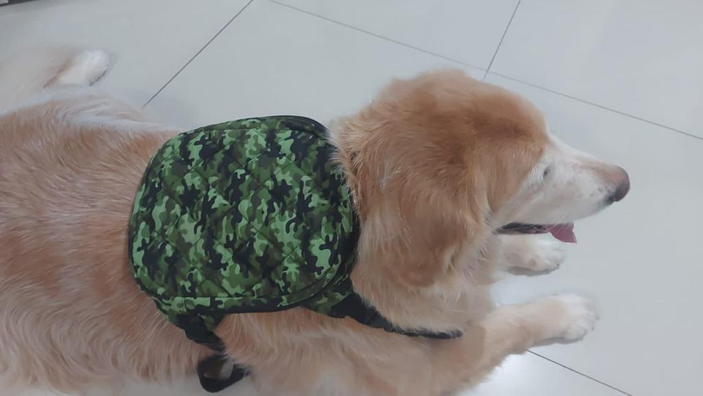 MOCHILA PARA CACHORRO